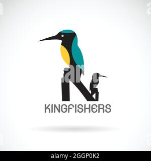 Vector of a kingfishers (Alcedo atthis) on white background. Bird Design. Easy editable layered vector illustration. Wild Animals. Stock Vector