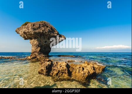 Flower Vase Coral Rock at Lamay island in pingtung county, Taiwan Stock Photo