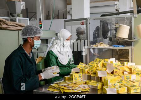 EGYPT, Bilbeis, Sekem organic farm, desert farming, ISIS factory, processing and packaging of herbal teas / AEGYPTEN, Bilbeis, Sekem Biofarm, Landwirtschaft in der Wueste, Kraeuter und Tee Verarbeitung, Verpackung von Anis Teebeutel Stock Photo