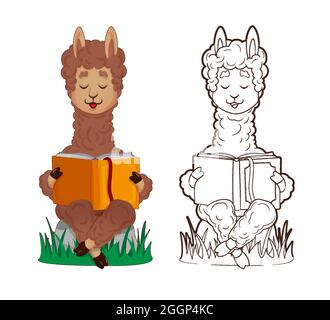 Lama is cute in the Scandinavian style, fashionable, cool, among cacti ...