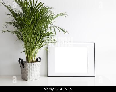 Rectangular mock up frame with green plant. Stock Photo