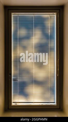 Window with closed Persian blinds, lit by sun shining through tree branches. Stock Photo