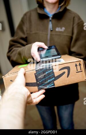 Male hand taking through the open door the cardboard parcel from Amazon Prime Stock Photo