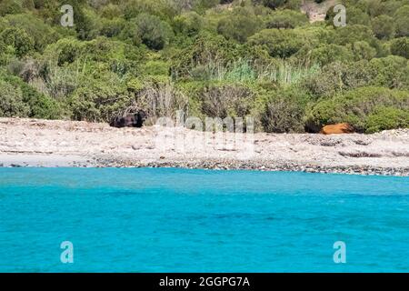 Beautiful view of the southern Sardinian sea, Teulada, Italy. Stock Photo
