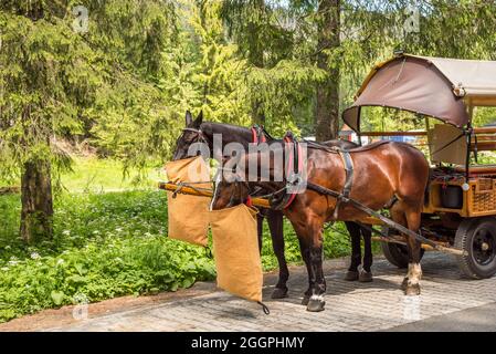 a hike up Morskie Oko Stock Photo