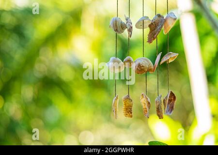 The doorbell is made from shells. Seashells on a rope. Stock Photo