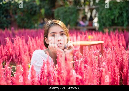 Happy beautiful young asian woman sitting in cockscomb flower garden Stock Photo