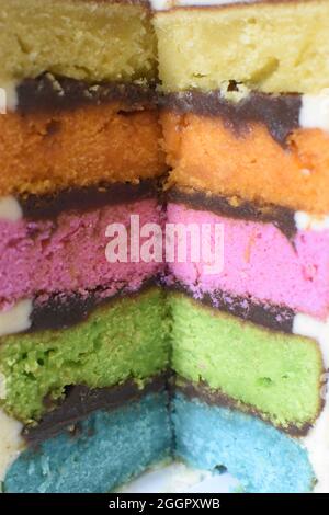 colorful birthday cake. rainbow cake Stock Photo