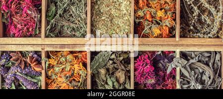 Assortment of dried relaxing tea herbs in wood tea box close up. Calendula, mint, camomile, anise hyssop, monarda didyma, wormwood, thyme, sage leaves Stock Photo