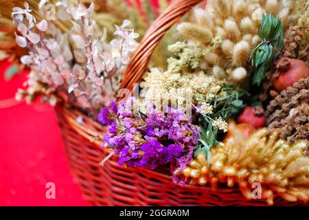 Decorative and herbal plants at basket close up indoor Stock Photo