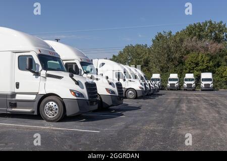 Indianapolis - Circa September 2021: Freightliner Semi Tractor Trailer Trucks Lined up for sale. Freightliner is owned by Daimler. Stock Photo