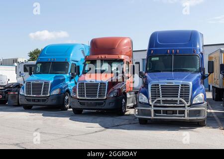 Indianapolis - Circa September 2021: Freightliner Semi Tractor Trailer Trucks Lined up for sale. Freightliner is owned by Daimler. Stock Photo