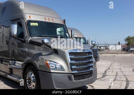 Indianapolis - Circa September 2021: Freightliner Semi Tractor Trailer Trucks Lined up for sale. Freightliner is owned by Daimler. Stock Photo