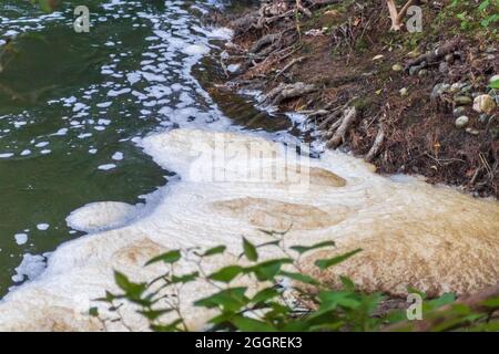 Polluted foam on a river. Concept of environmental issues, as river pollution. Copy space. Stock Photo