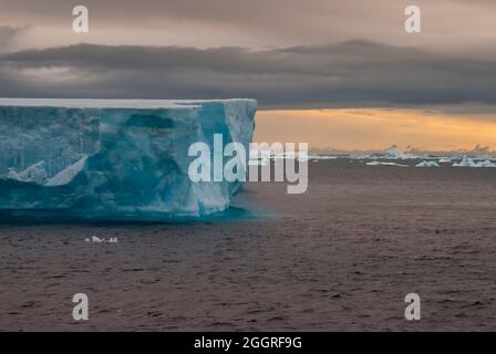 Floating icebergs in te Antarctic sea, near Antarctic Peninsula , Antartica Stock Photo