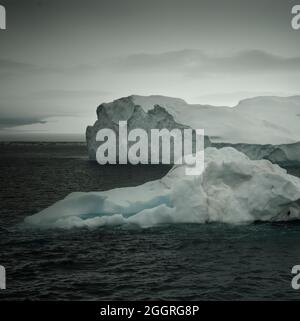 Floating icebergs in te Antarctic sea, near Antarctic Peninsula , Antartica Stock Photo