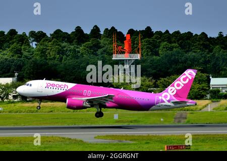 Peach Aviation, Airbus, A320 CEO, JA825P, Take Off, Tokyo Narita Airport, Chiba, Japan