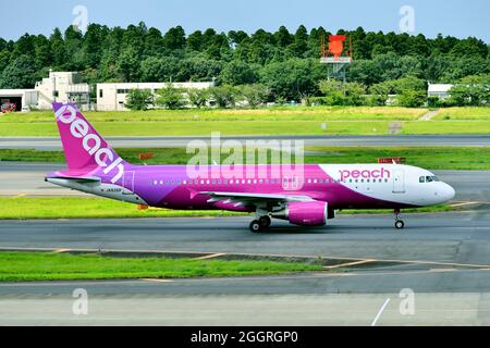 Peach Aviation, Airbus, A320 CEO, JA826P, Taxiing,Tokyo Narita Airport, Chiba, Japan