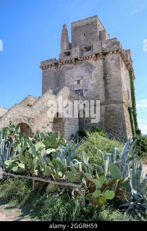 Torre Colimena, a seaside village in the municipality of Manduria, Puglia, Italy. Coastal defense tower of Emperor Charles V, king of Spain Stock Photo