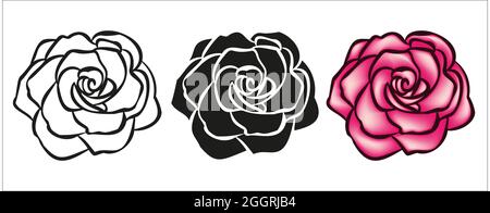 Rose flower hand drawn ilustration for logo Stock Vector