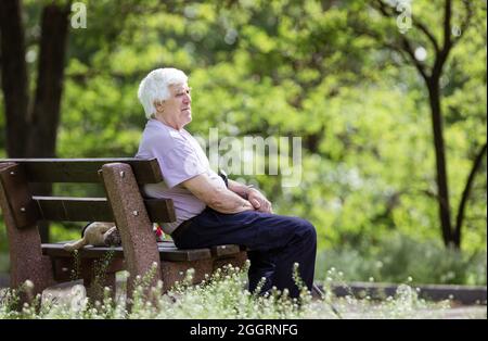 Pensive senior man sitting on bench in summer park Stock Photo