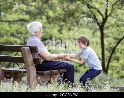 Mature man and his granson playing in summer park. Grandpa sitting on bench, boy jokingly pulling his hand. Stock Photo