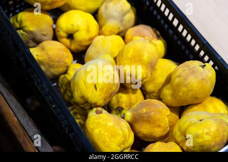 Picture of fresh aiva on counter in food market Stock Photo