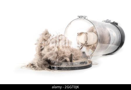 Open cyclonic vacuum canister spilling out dust, debris, pet fur and hair. Perspective view of vac storage tank fallen over or emptying dirty content Stock Photo