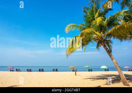 Couple relaxing on the beach. deck chairs under palm trees on sand Stock Photo