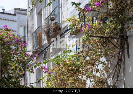 Sperlonga, Italy - august 18 2021 - The scenic streets in the picturesque architecture of Sperlonga, a coastal town in the province of Latina, Italy, Stock Photo