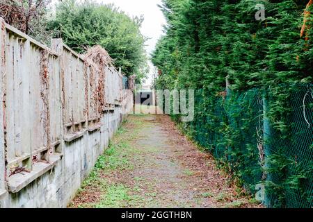 Narrow walkway/path between garden fences of homes. Stock Photo