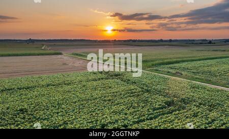 Colorful sunset over fields aerial in sunset, Podlaskie Voivodeship, Poland, Europe Stock Photo
