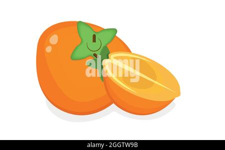 Half and whole Juicy Persimmon Fresh Autumn Fruit Health Benefits Stock Vector