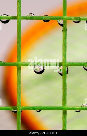Feather spring ball racquet with water drops Stock Photo