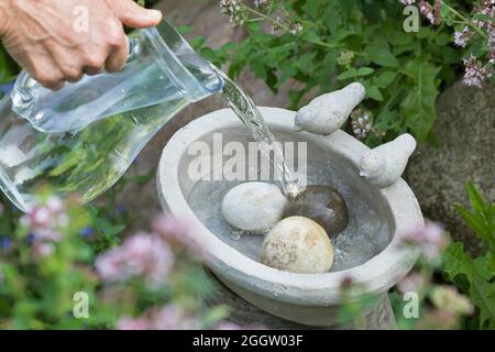 watering place for birds is filled with water, Germany Stock Photo