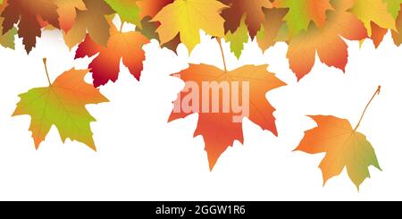 eps vector file with end of summer or fall maple colored leaves on upper side, seamless panorama style Stock Vector