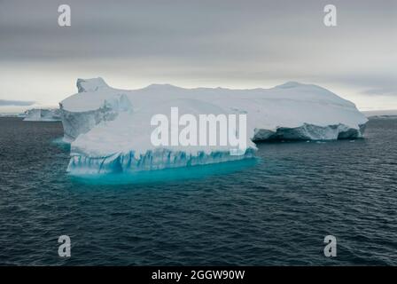 Floating icebergs in te Antarctic sea, near Antarctic Peninsula , Antartica Stock Photo