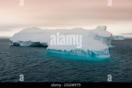 Floating icebergs in te Antarctic sea, near Antarctic Peninsula , Antartica Stock Photo