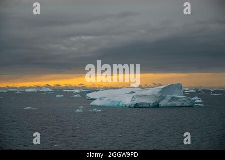 Floating icebergs in te Antarctic sea, near Antarctic Peninsula , Antartica Stock Photo