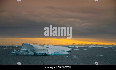 Floating icebergs in te Antarctic sea, near Antarctic Peninsula , Antartica Stock Photo