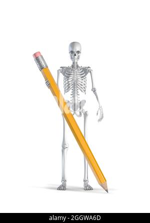Human Skeleton drawing isolated on white background in high resolution ...