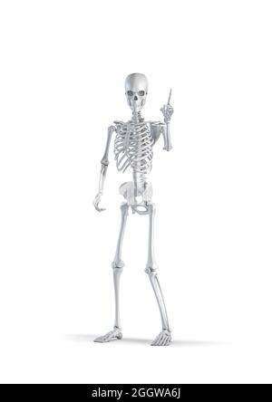 Skeleton with idea - 3D illustration of male human skeleton figure holding up index finger for attention isolated on white studio background Stock Photo