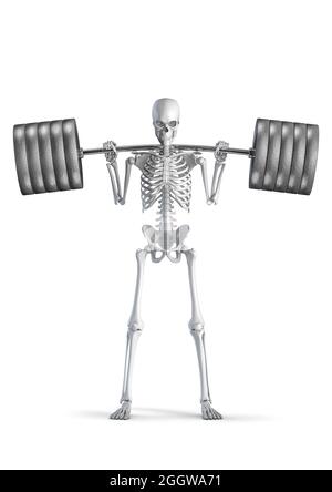 Fitness skeleton squat - 3D illustration of male human skeleton figure squatting heavy barbell isolated on white studio background Stock Photo