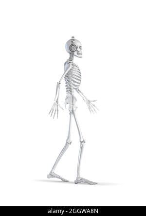 Headphone skeleton - 3D illustration of male human skeleton figure walking and wearing stereo headphones isolated on white studio background Stock Photo