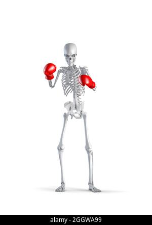 Boxing skeleton - 3D illustration of male human skeleton boxer figure wearing boxing gloves isolated on white studio background Stock Photo