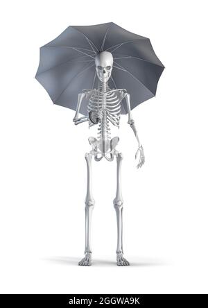 Skeleton with umbrella - 3D illustration of male human skeleton figure holding umbrella isolated on white studio background Stock Photo