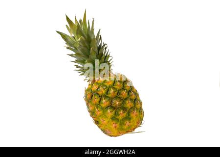 Pineapple fruit isolated on white background. Ripe pineapple isolated on white background. Stock Photo