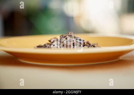 Carob - plant-based alternative - natural product on the plate. Organic antioxidants and protein. Copy space. High quality photo Stock Photo