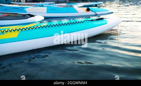 Close up of stand up SUP paddle board on lake or sea with blue water lilies, paddling in summer time at sunset. Summer family vacation Stock Photo
