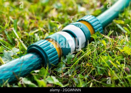 Garden irrigation hoses connected with a modern plastic hose connector for quick connection lying on the grass in sunny summer day close up Stock Photo